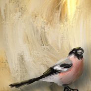 digital painting of a chaffinch bird against a gold background