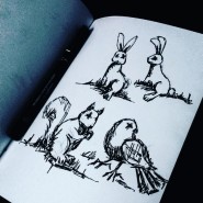 Woodland Animals Sketch