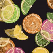 citrus illustration of lemons, limes and oranges against a black background