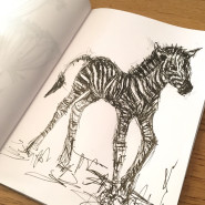 Day 76 Zebra Sketch